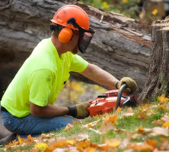 tree services Josephville